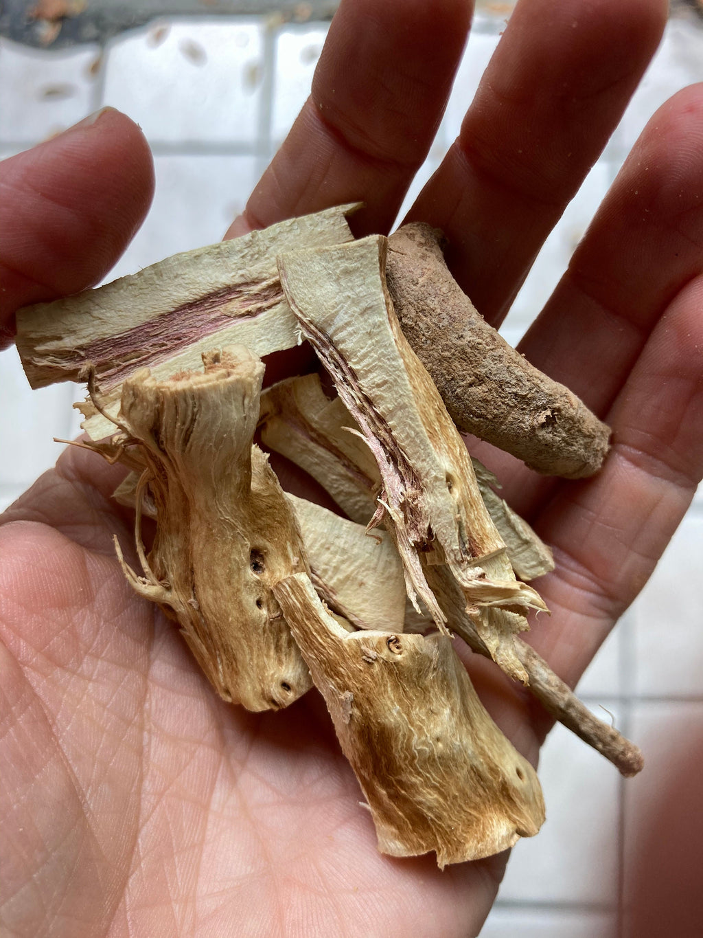 Ashwagandha seeds (Withania somnifera)