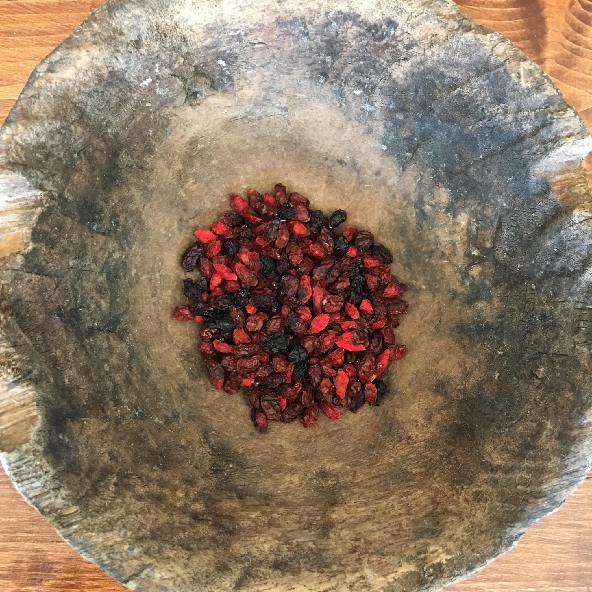 Goji Berry Plant (Lycium barbarum) – 2” Plug – Edible Superfruit Shrub