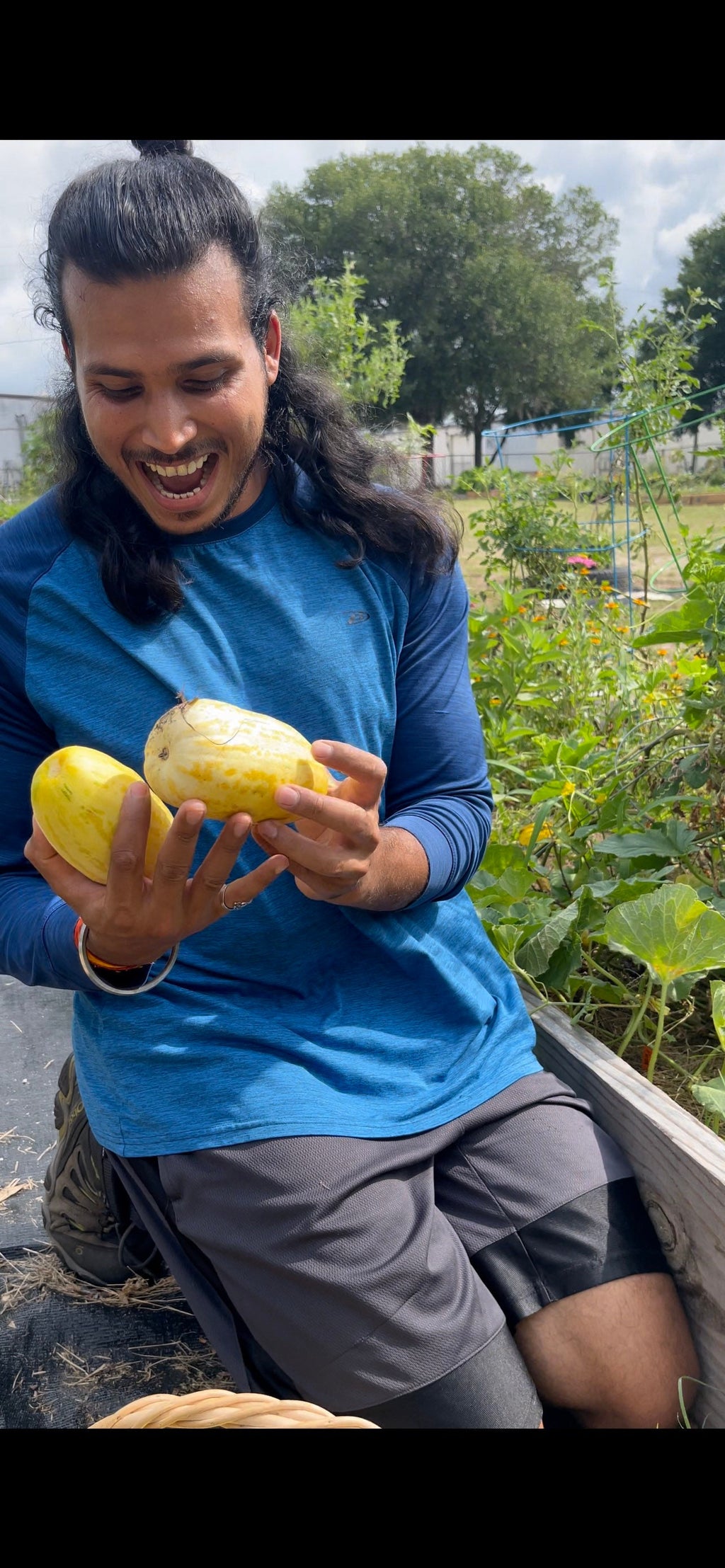 Rare Apple melon seeds