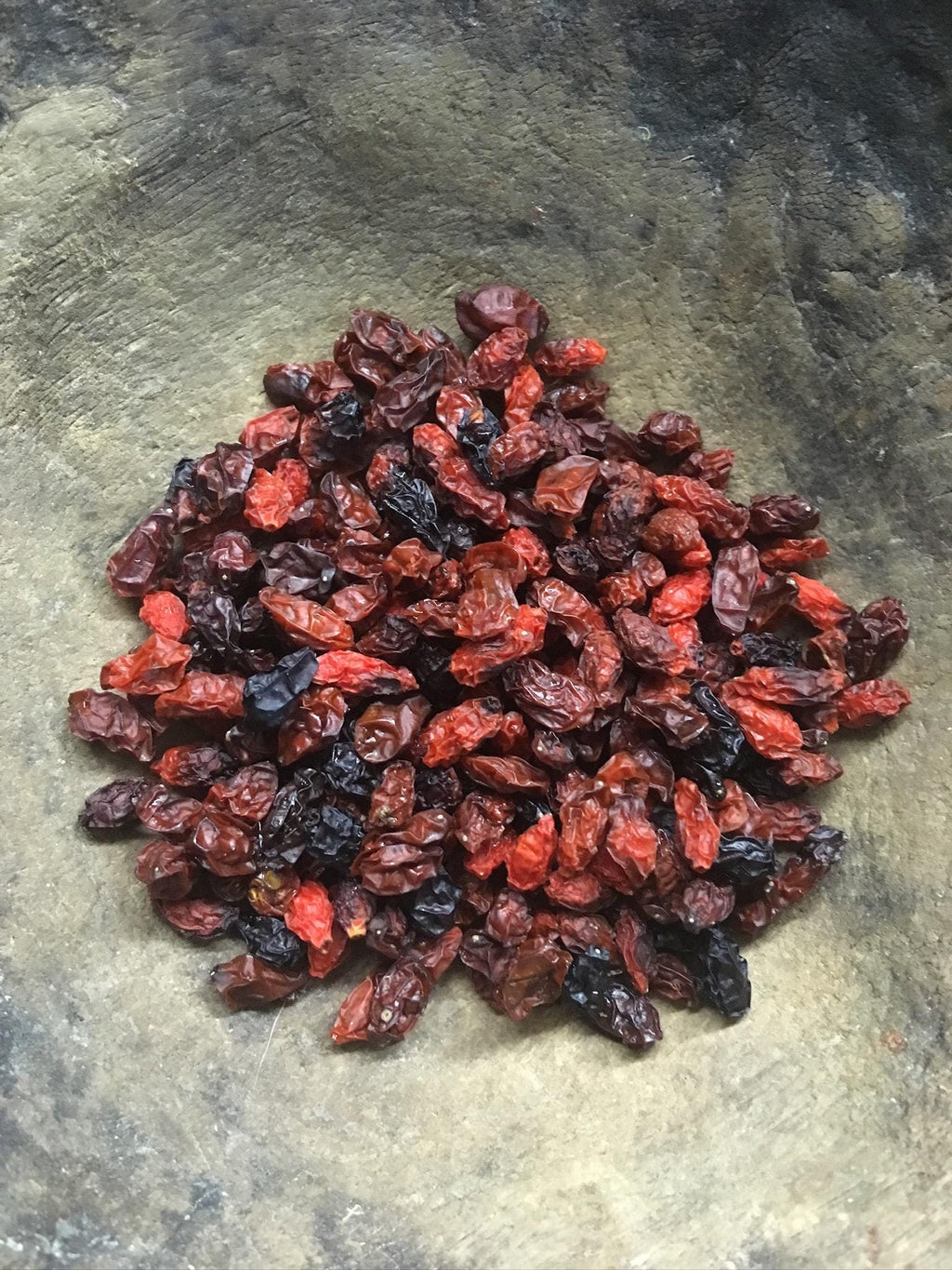 Goji Berry Plant (Lycium barbarum) – 2” Plug – Edible Superfruit Shrub