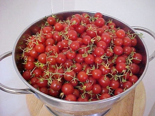 FL everglades tomato seeds