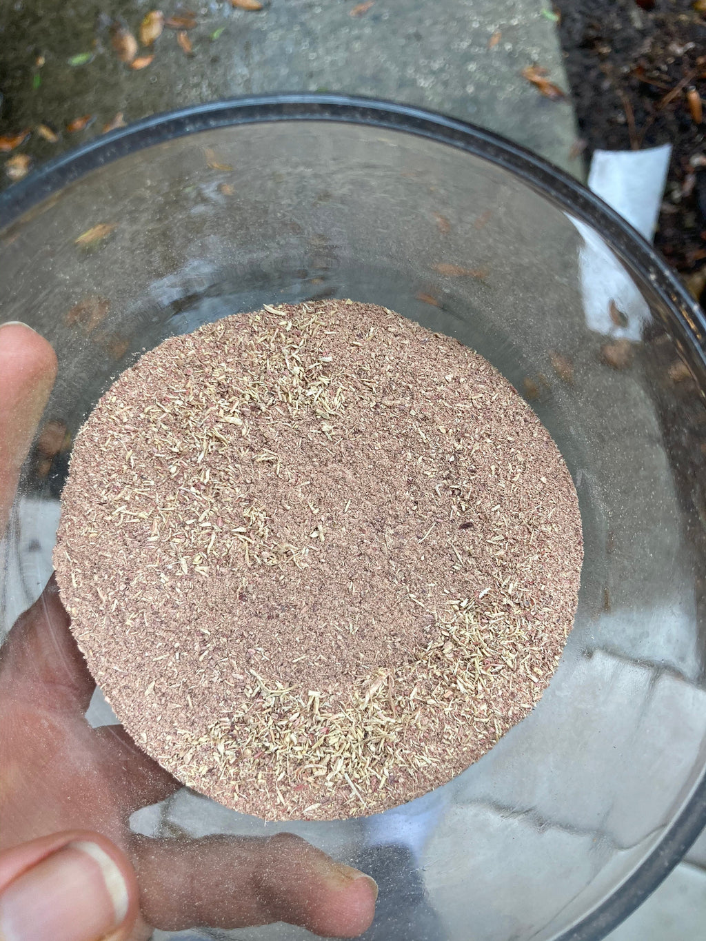 Ashwagandha seeds (Withania somnifera)