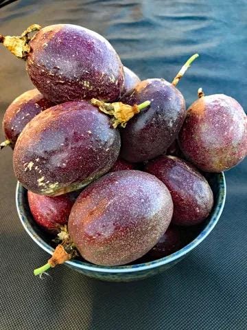 Purple possum passionfruit seeds