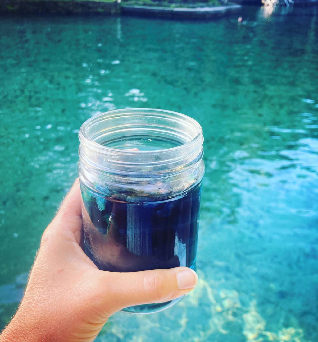 Organic Butterfly Pea Flower Tea: Natural Blue Herbal Tea