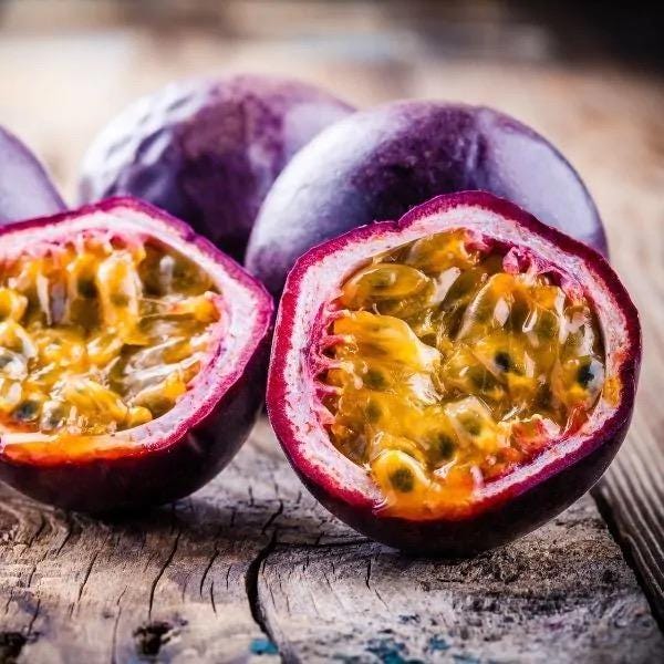 Purple possum passionfruit seeds