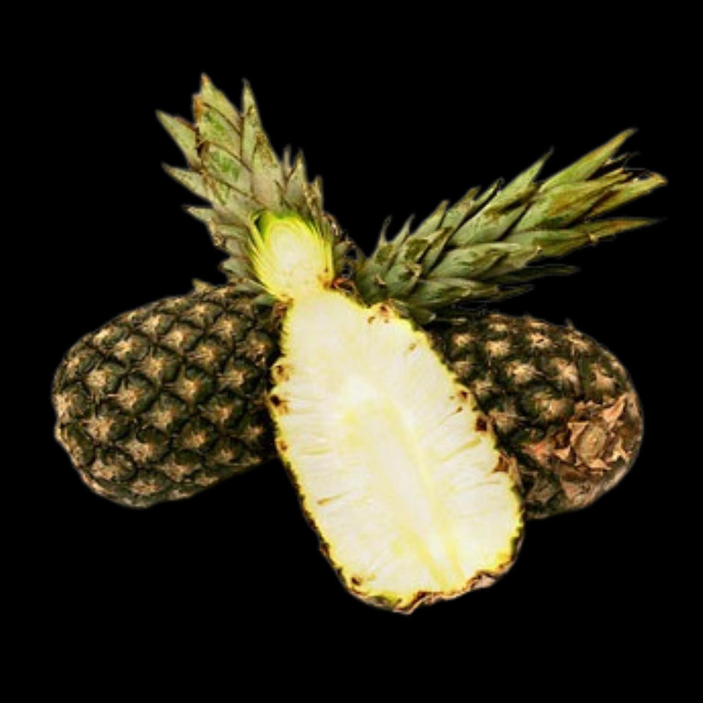 Sugarloaf Pineapple Plant – Sweet White-Fleshed Tropical Fruit (4-Inch Pot)