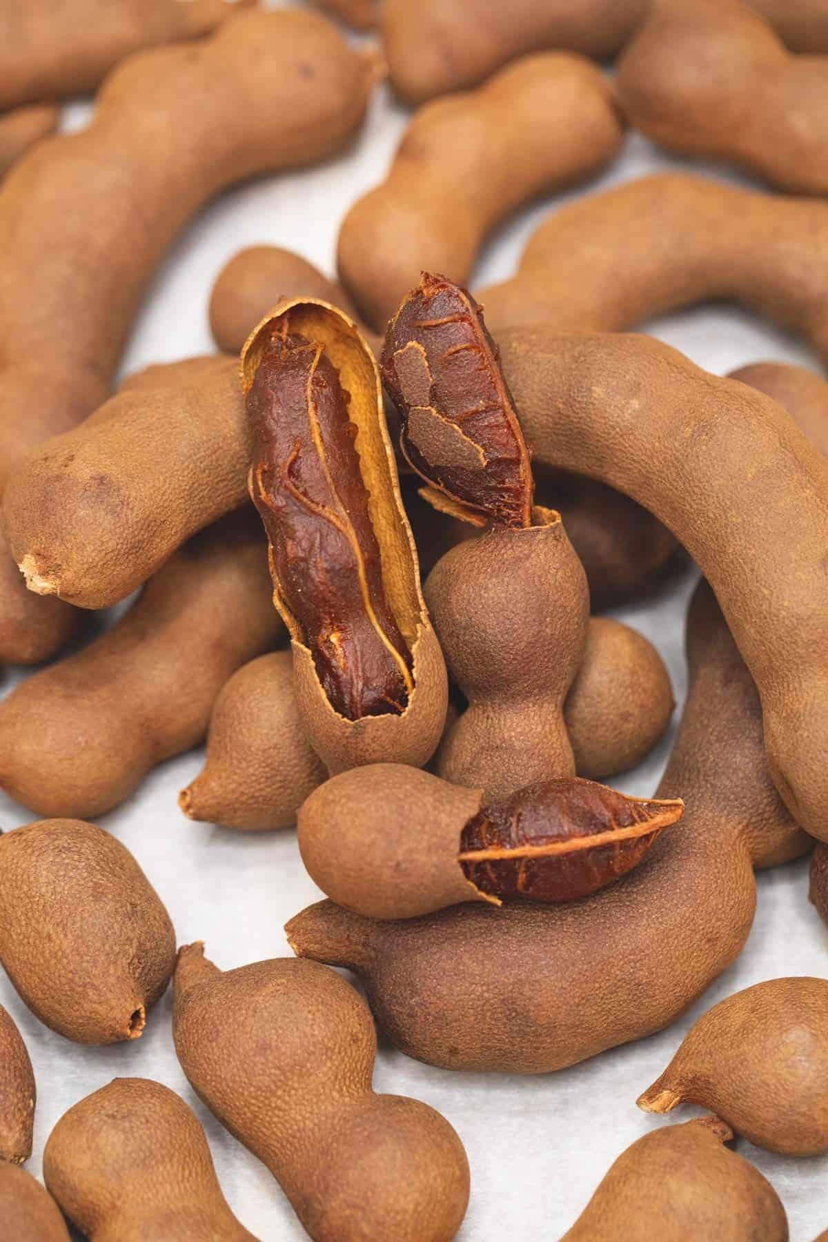 Live Tamarind Tree Plant – Sweet Tangy Edible Fruit Pods – 4.5 Pot