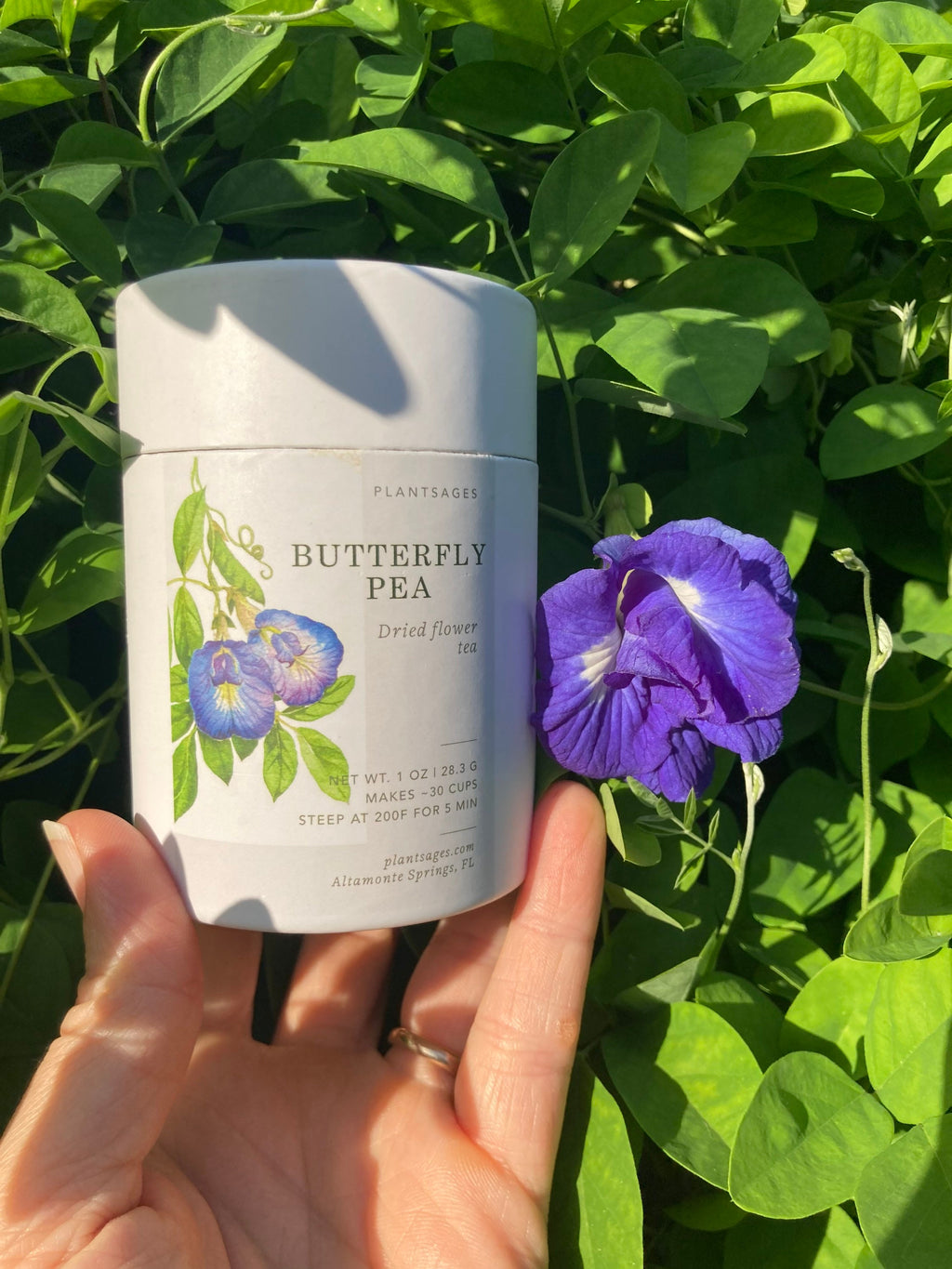 Organic Butterfly Pea Flower Tea: Natural Blue Herbal Tea