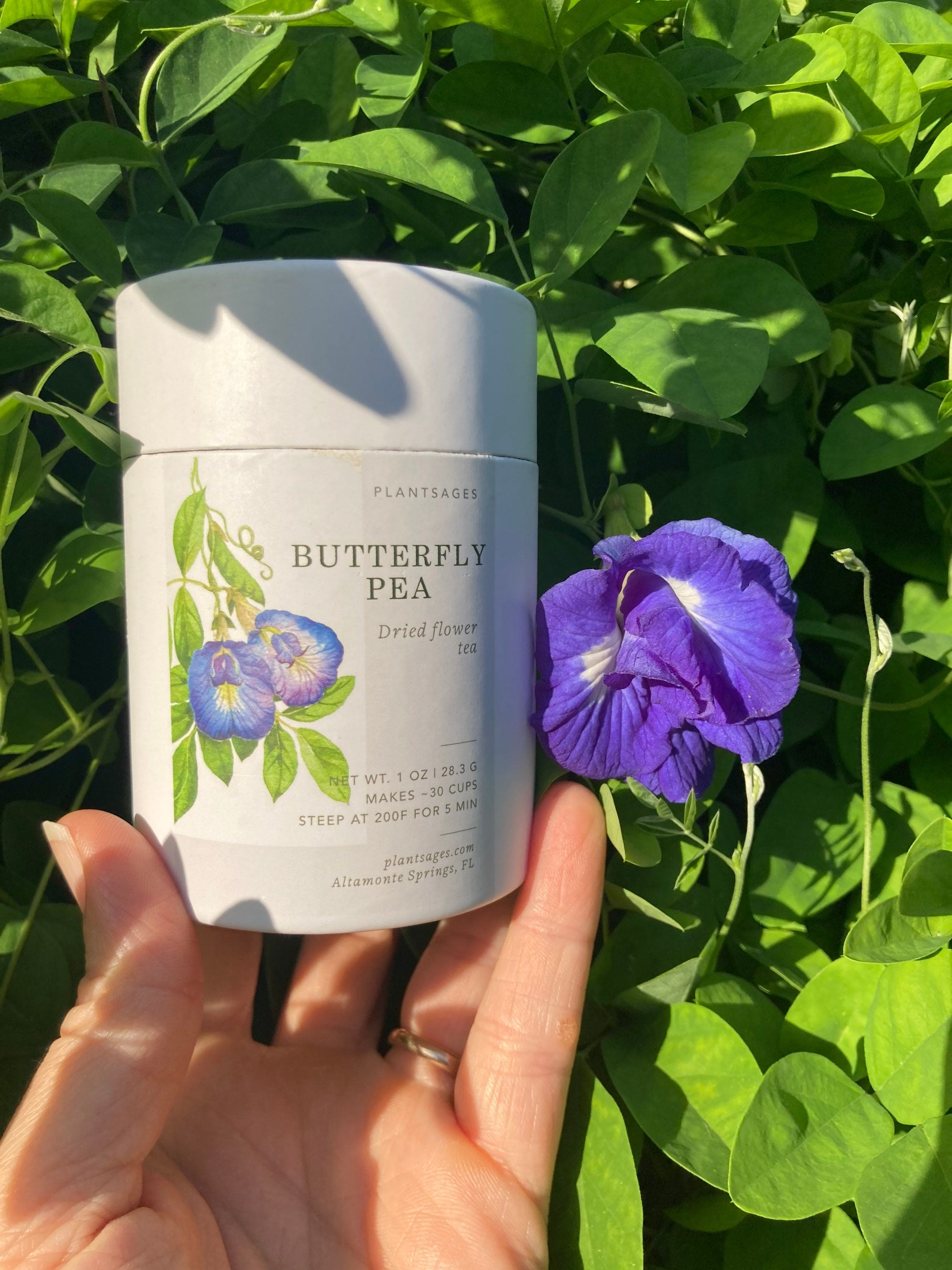 Organic Butterfly Pea Flower Tea: Natural Blue Herbal Tea