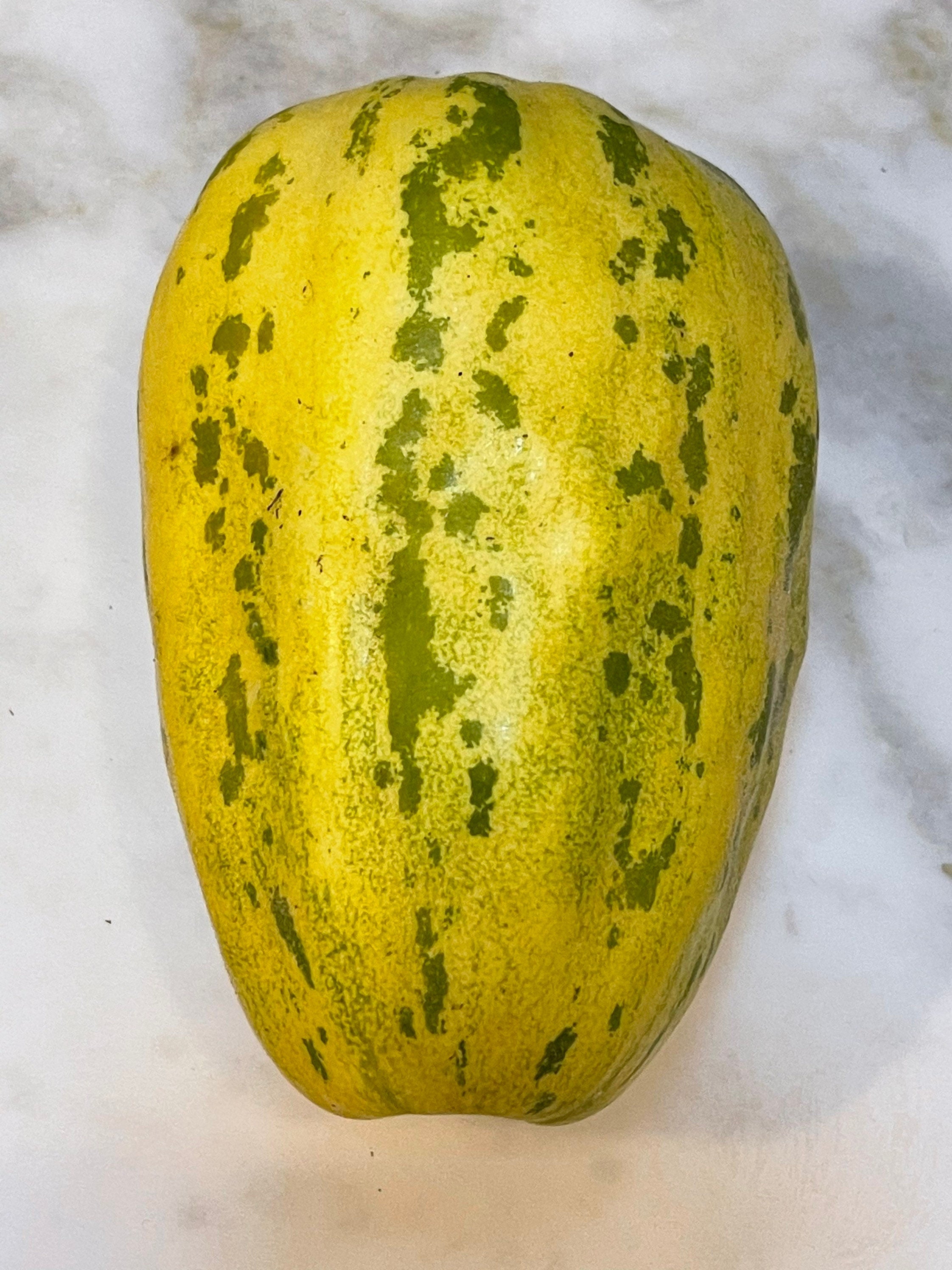 Rare Apple melon seeds