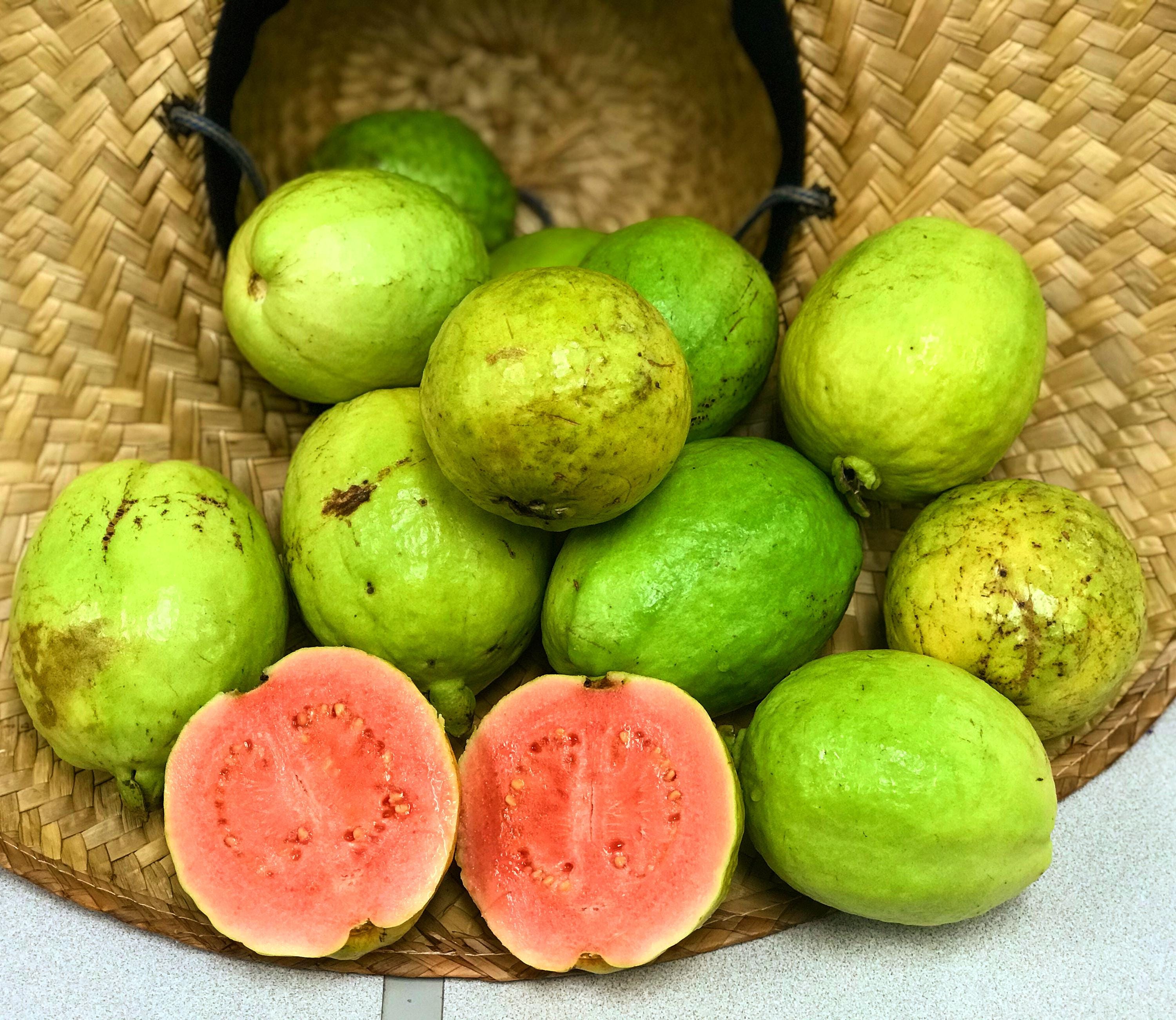 Barbie Pink Guava - Psidium guajava