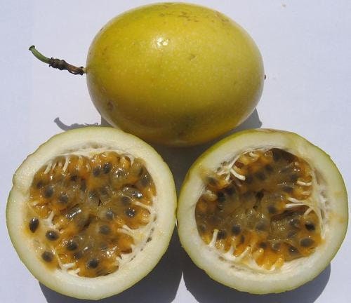 Yellow passionfruit (Passiflora edulis flavicarpa) seeds