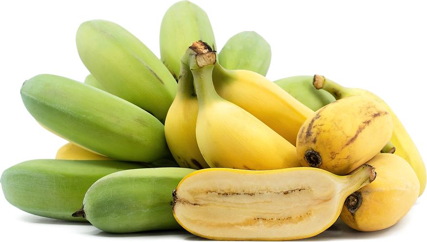 Ice Cream” Banana Plant – Delicious Vanilla-Cream Flavor | FL grown